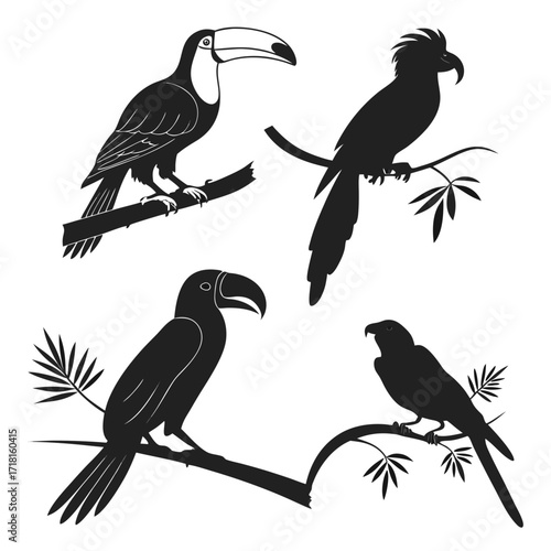 Silhouettes of toucans and parrots on branches bird