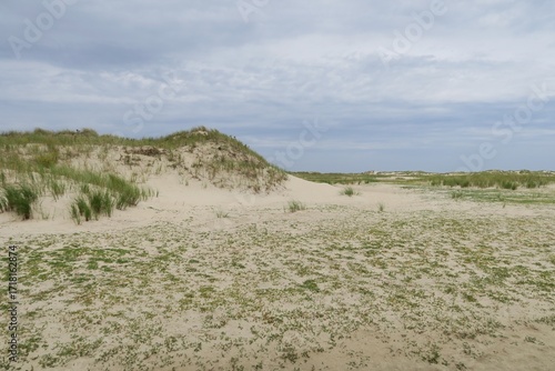 Wallpaper Mural Auf der ostfriesischen Nordseeinsel Norderney in Deutschland gibt es diese Dünenlandschaft mit Weißdünen. Sie liegt zwischen dem Parkplatz Ostheller und dem Ostende am Mittelweg. Torontodigital.ca