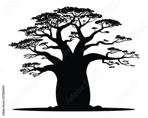 Iconic African baobab tree silhouette, a black and white vector illustration isolated on a white background