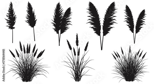 A collection of various cattail plants depicted in black and white silhouettes
