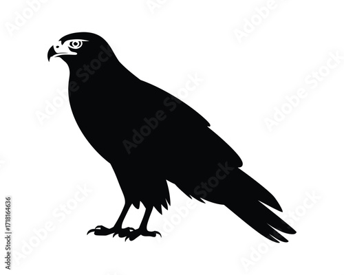 Striking Silhouette of a Majestic Hawk A Monochrome Illustration for Design Projects