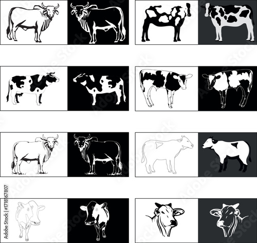 Cow Logo Vector Design Art