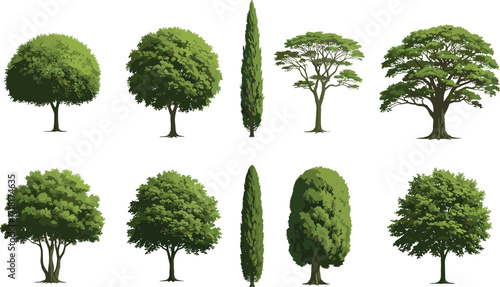 tree, vector, realistic, nature, isolated, illustration, plant, set, collection, forest, landscape, design, element, graphic, icon, foliage, green, wood, outdoor, natural, trunk, bra