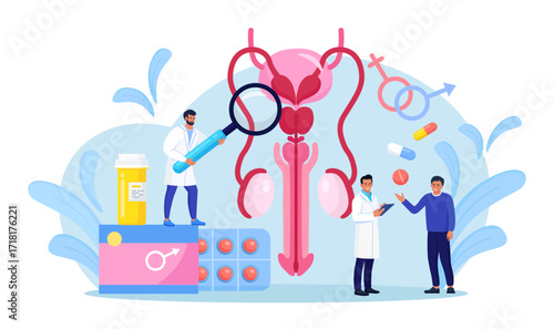 Urology concept. Urologist examining male reproductive system. Kidney and bladder treatment, hospital care. Doctors diagnosis sexually transmitted, venereal diseases. Bacterial infection