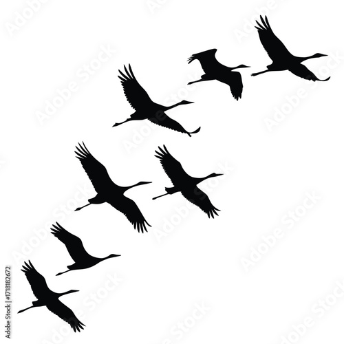 Silhouettes of Cranes in Flight, Forming a Diagonal Formation