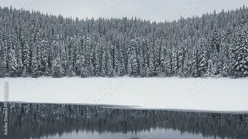 A serene winter landscape featuring a dense, snow-covered evergreen forest reflected in the still, icy waters of a tranquil lake
