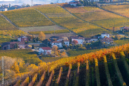 Langhe Vineyards in Autumn, Piedmont, Italy