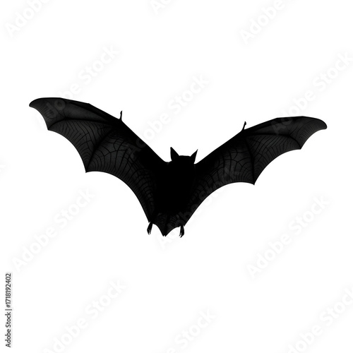 Silhouette of a bat with its wings spread isolated on transparent background