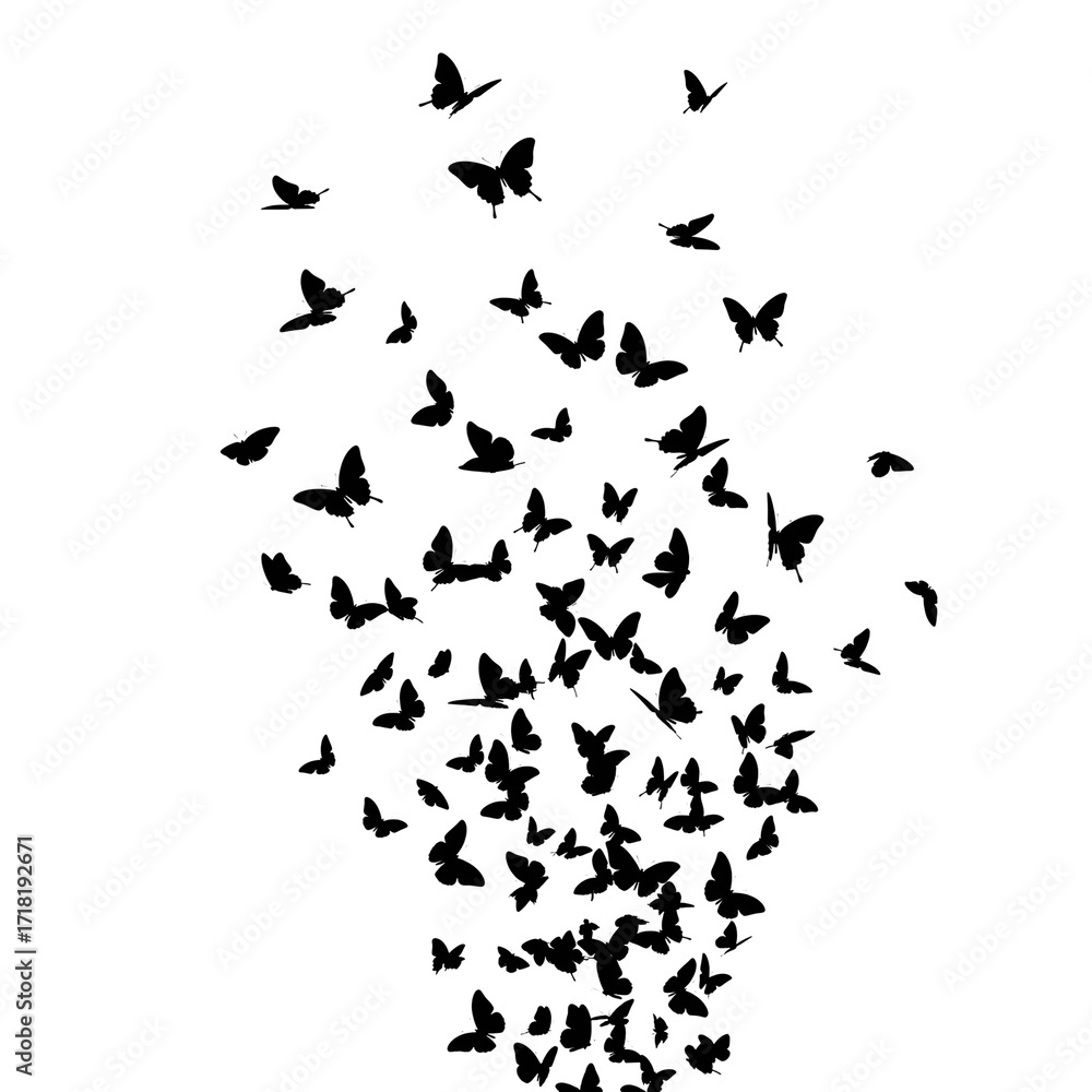 A swarm of butterflies flying, isolated on transparent background in a silhouette A swarm of butterflies flying, isolated on transparent background in a silhouette