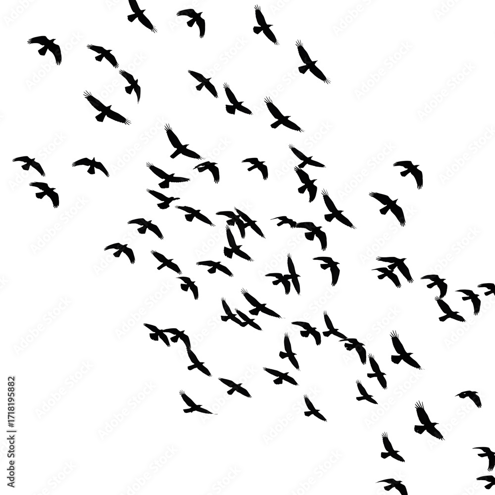 Fototapeta premium Silhouette of a flock of birds flying isolated on transparent background