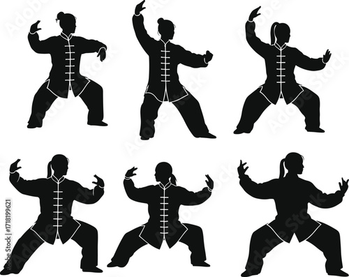 Martial arts silhouette, Tai Chi pose, Kung Fu stance, traditional training, balance control, vector illustration, black design, cultural discipline, exercise practice