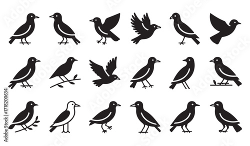 Vector collection of wild bird silhouettes with wings spread and perched