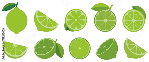 cartoon lime fruit vector illustration