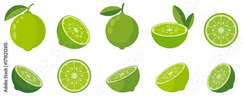 cartoon lime fruit vector illustration