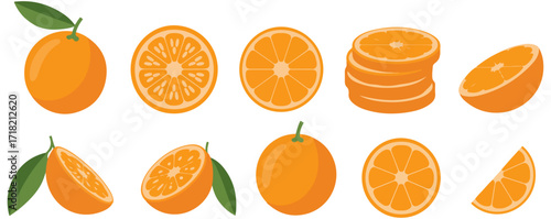 fresh orange fruit vector illustration