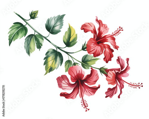 Vibrant Watercolor Illustration of Hibiscus Flowers with Lush Green Foliage