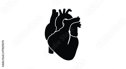 Detailed illustration of a human heart in a black silhouette style