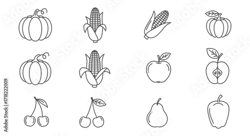 Simple line drawing of autumn harvest fruits and vegetables collection