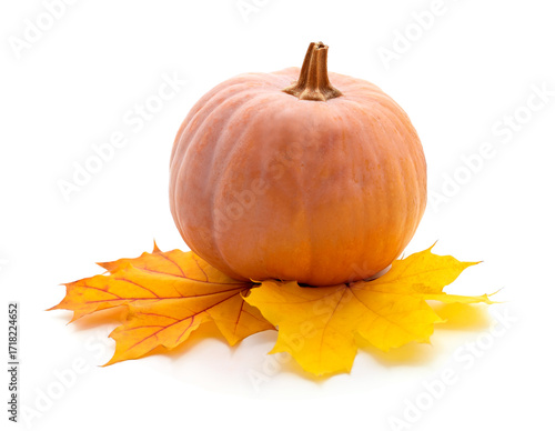 Pumpkin with autumn leaves isolated on white.