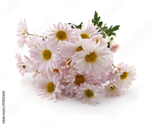 Bouquet of white chamomiles.