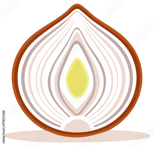 Illustrated cross section of a raw onion vegetable ingredient, flat design