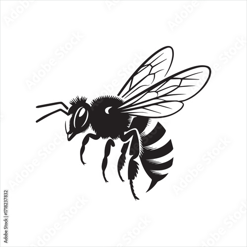Bee vector illustration on white background with flower