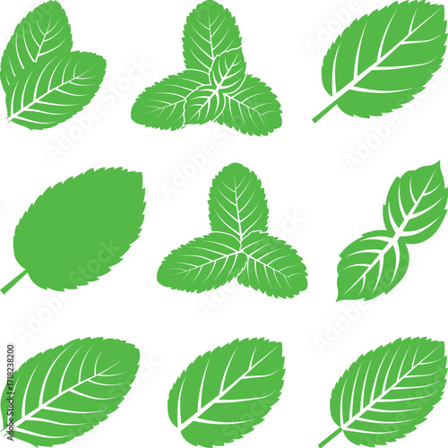 Mint Leaves isolated Illustration, abstract green leaves set icons, Green mint leaves Vector on a white Background