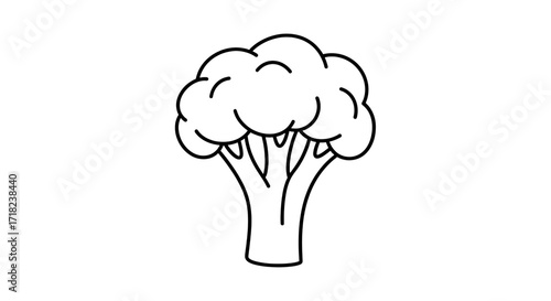 Simple line drawing of a cauliflower head, isolated on transparent background, ideal for healthy eating and vegetablethemed designs