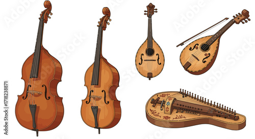 Collection of traditional string instruments in detailed cartoon style