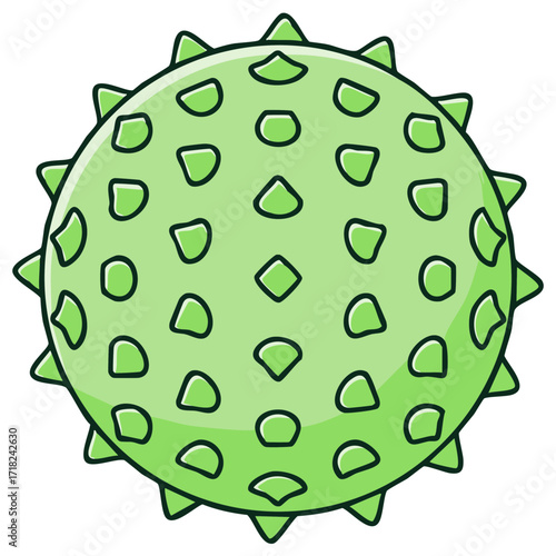 Green spiky spherical object with a textured surface and pointed protrusions