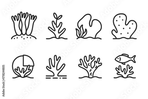 Coral Health Icons. Line style icons of coral health indicators: healthy polyps, new coral growth, algal cover, bleaching sign,