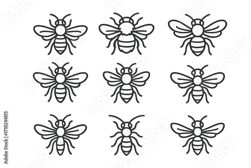 Bee Species Icons. Line style icons of bee species: honeybee, bumblebee, carpenter bee, leafcutter bee, mason bee, mining bee,