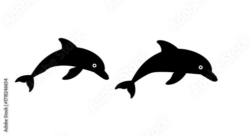 Two leaping black dolphins silhouetted against a bright background marine mammals ocean life