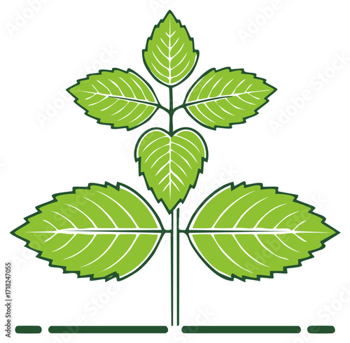 Stylized Green Plant Illustration With Stem and Veined Leaves