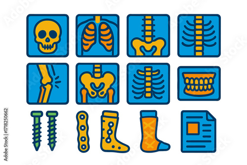 Colorful Radiology Icons. Isometric vector illustration set Skeletal diagnostics: skull X-ray, chest X-ray, hand bone scan, spine