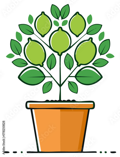 Potted Lime Tree Illustration with Fresh Green Citrus Fruits and Leaves