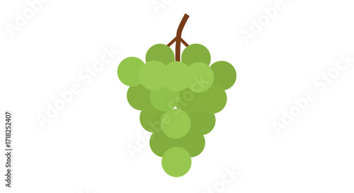 A simple illustration depicting a bunch of vibrant green grapes hanging down