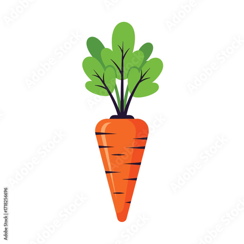 A vibrant illustration of a fresh healthy orange carrot with green leaves