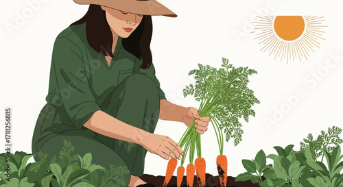 Woman Harvesting Fresh Carrots Under The Sun In An Illustrative Garden Scene