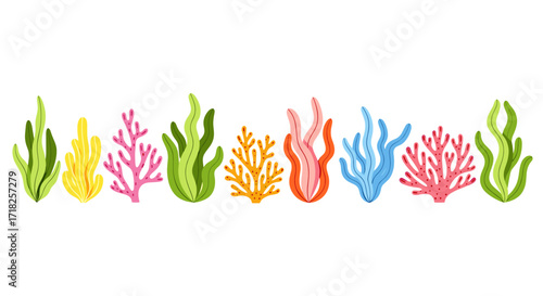 Illustration of colorful aquatic plants arranged horizontally across the frame evenly spaced apart