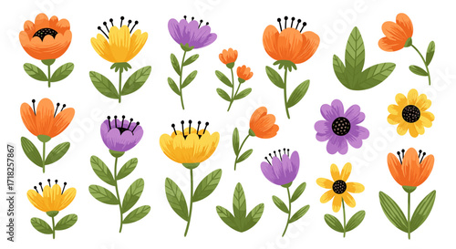 Assortment of vibrant floral illustrations with varying shapes and petal arrangements displayed nicely