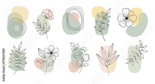 Floral line art with watercolor shapes in pastel hues arranged on a white presentation space