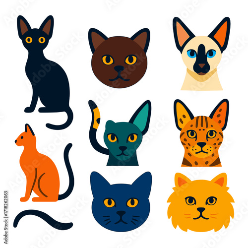 Flat Cat Breed Icons. Flat vector icons of cat breeds: Cornish Rex slim back, Burmese round muzzle, Colorpoint Shorthair pattern.
