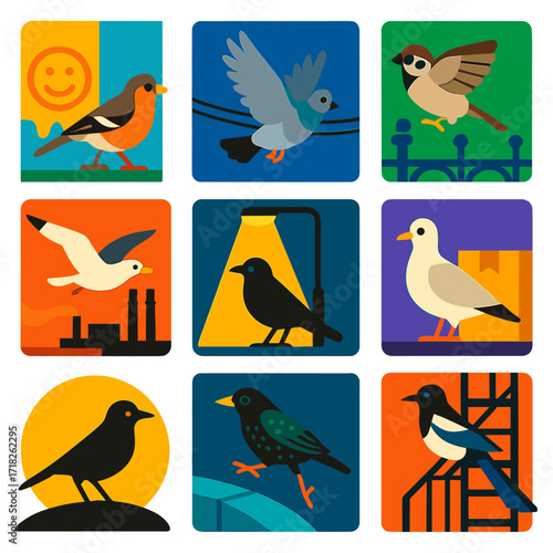City Bird Icons. Flat vector icons of city birds: finch walking beside painted wall, pigeon flapping over cable lines, sparrow