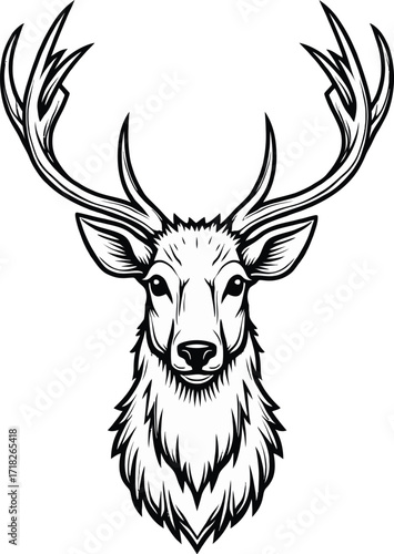 Detailed deer head with large antlers, wild forest animal portrait
