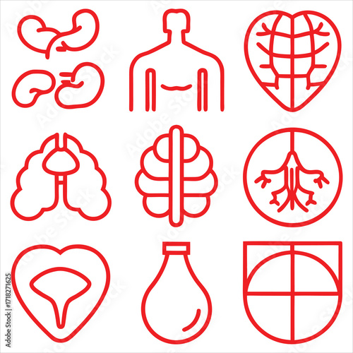 Red organ icons body medical