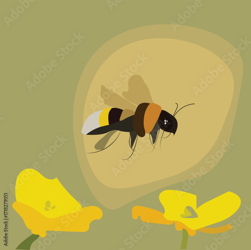 bee collect honey from flower illustration.