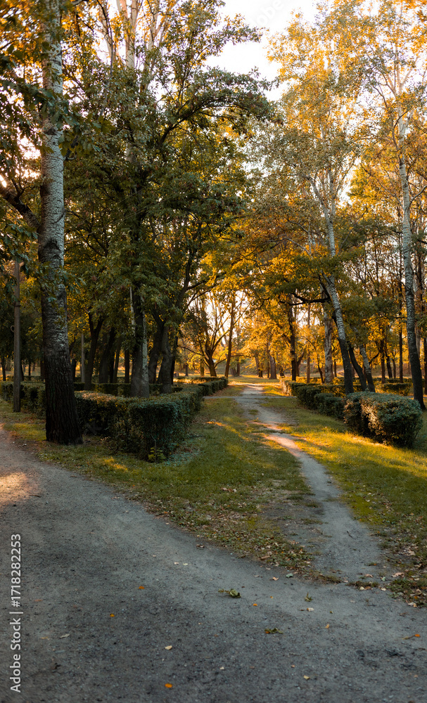Fototapeta premium Warm autumn evening in a Ukrainian city park, people relaxing by the river and walking among golden trees, peaceful atmosphere, leisure and nature in Zaporizhzhia