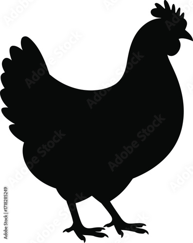 Black chicken silhouette standing bird poultry