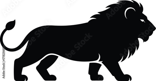 Black lion silhouette walking animal mammal
